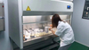 Gabinetes de bioseguridad Clase II Tipo A2 Campoceno de cultivo de tejido microbiológico NSF y EN12469 Certificado