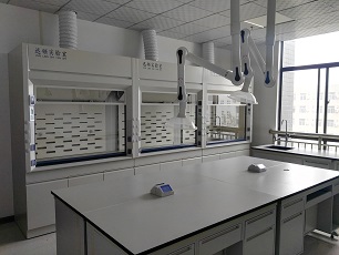 Xunling Lab Fume Hoods en Xi'an Libang Pharmaceutical Co., Ltd